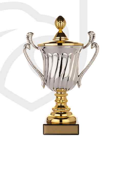 https://www.bats.sk/wp-content/uploads/2022/11/trophy_overlay_02.jpg